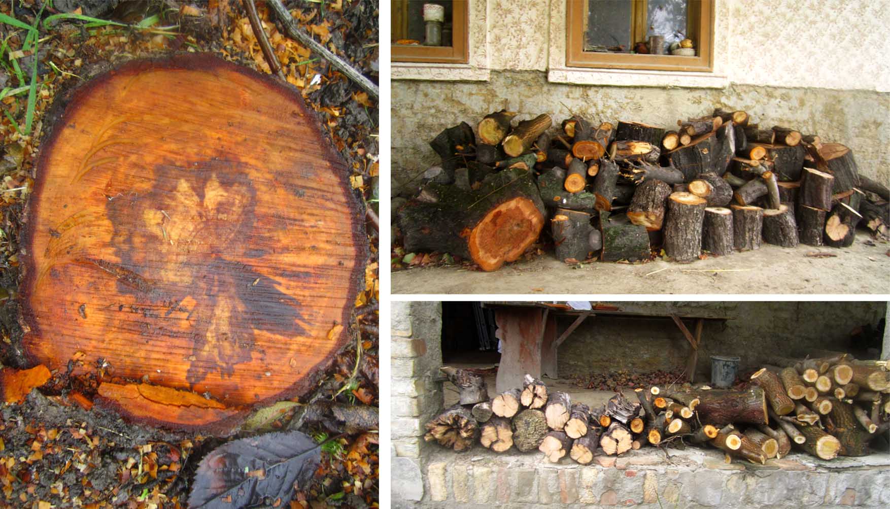 10 perMOkultura imamo drva samo nam pećka fali