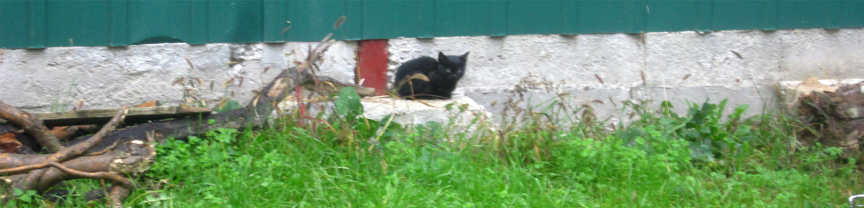 13 perMOkultura novi stanar