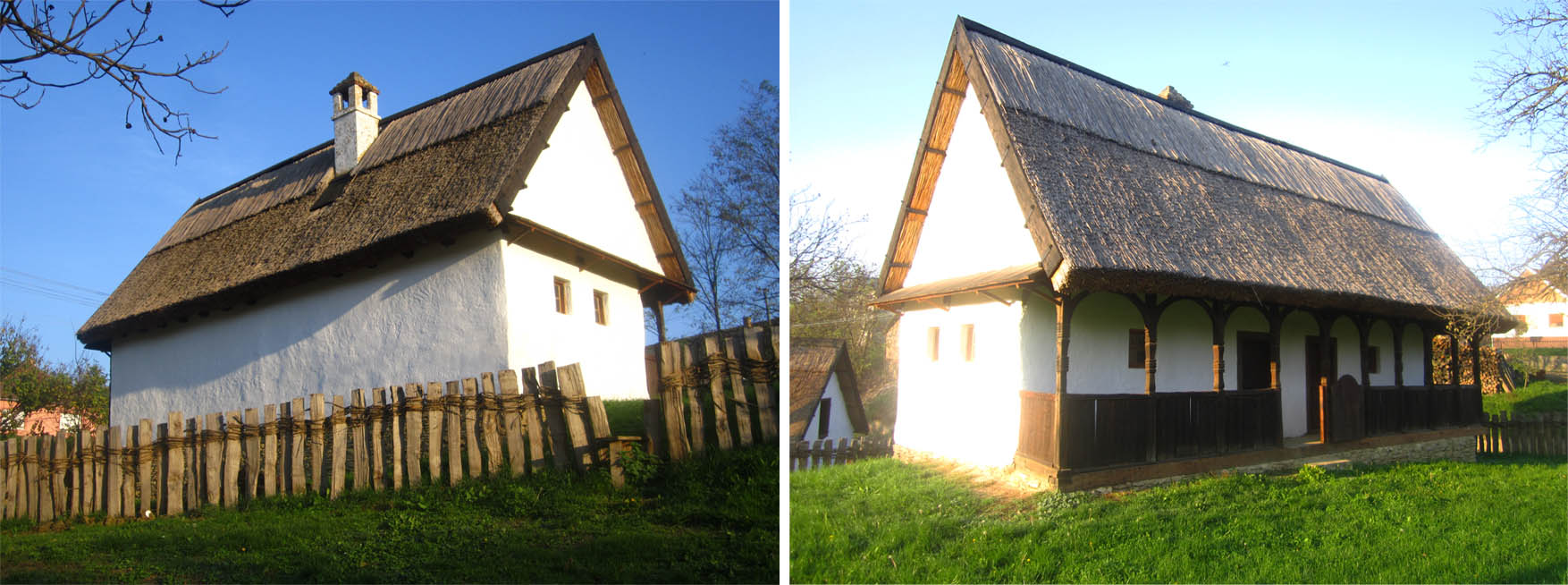 02 stara dama Nestin