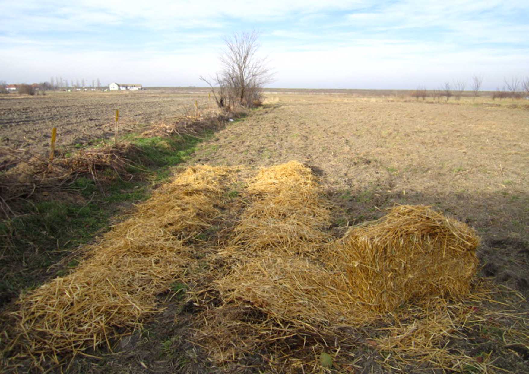 03 perMOkultura 2014 malciranje