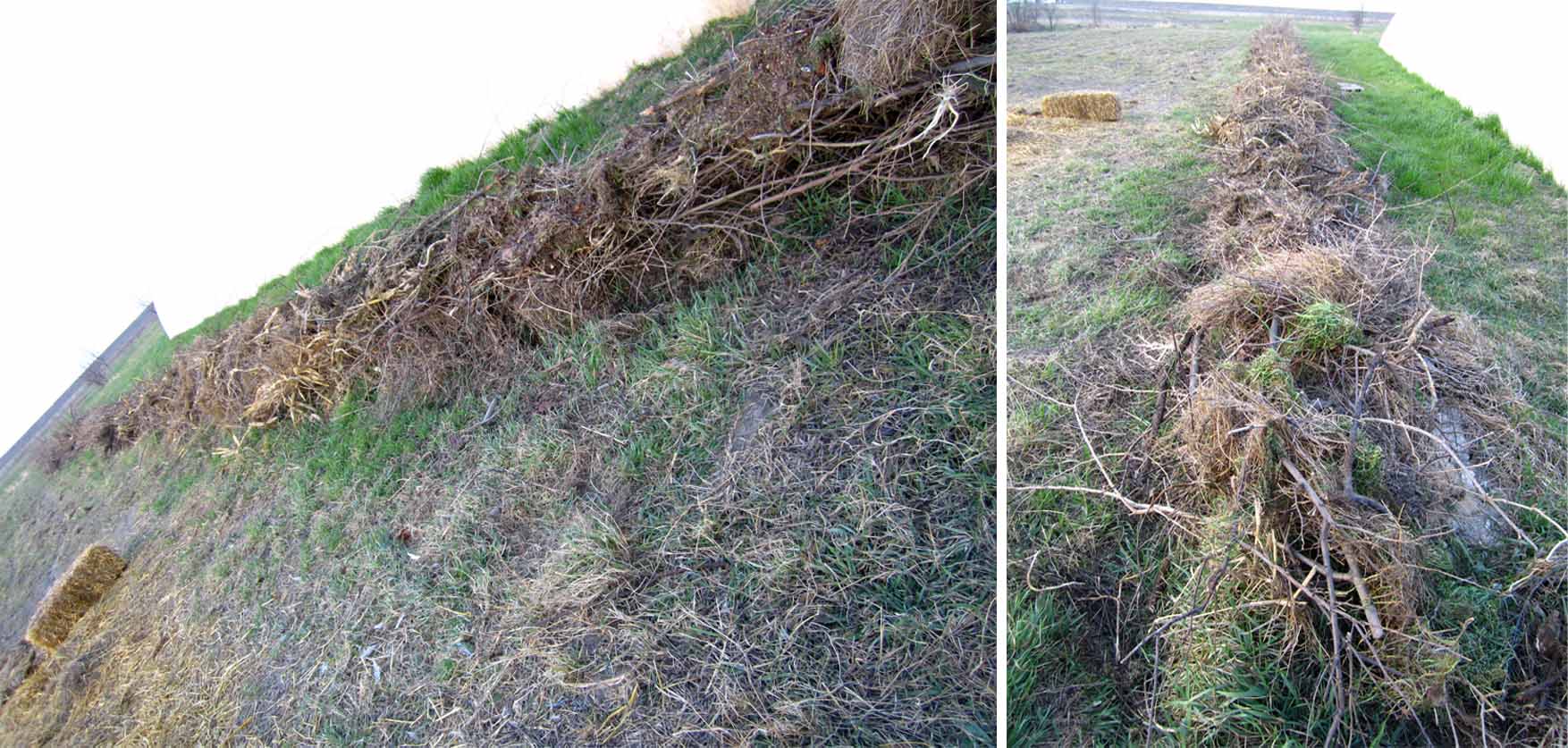 06visoke leje ka istocnim komsijama