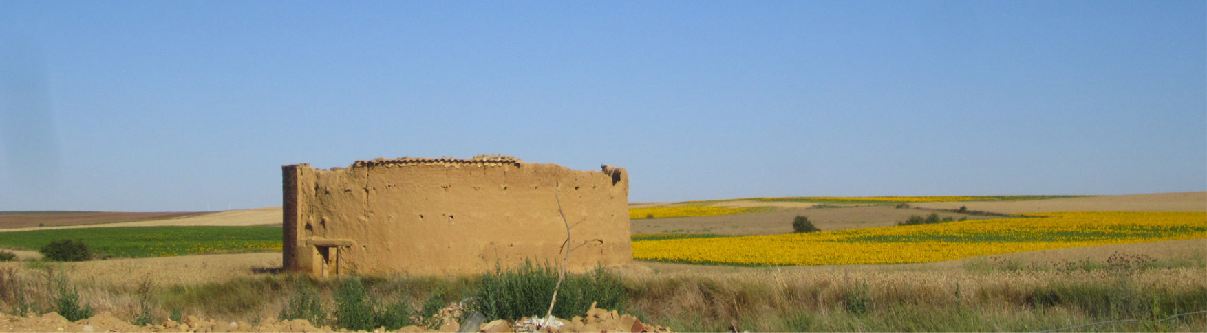 21 spanija overall 2 leonardo pirate palomares