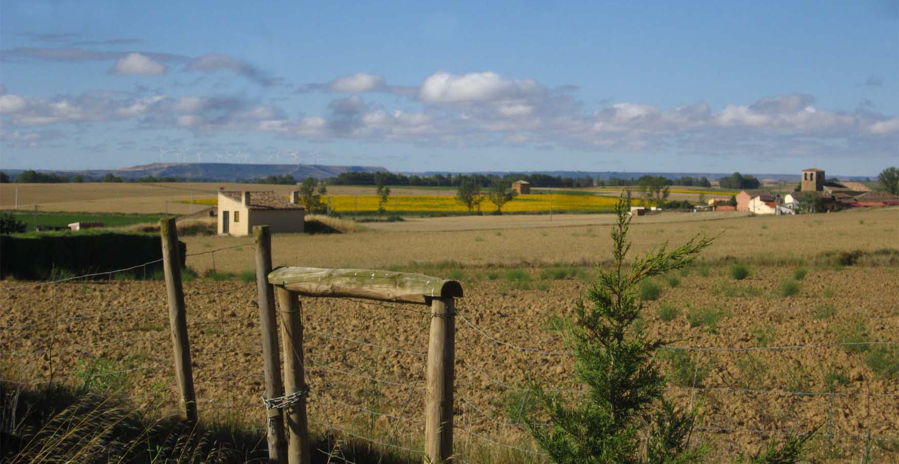 22 spanija overall 2 leonardo pirate