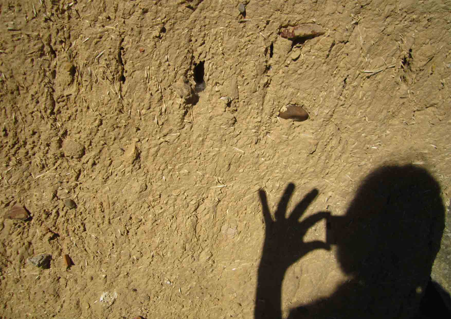 23 spanija overall 2 leonardo pirate amayuelos