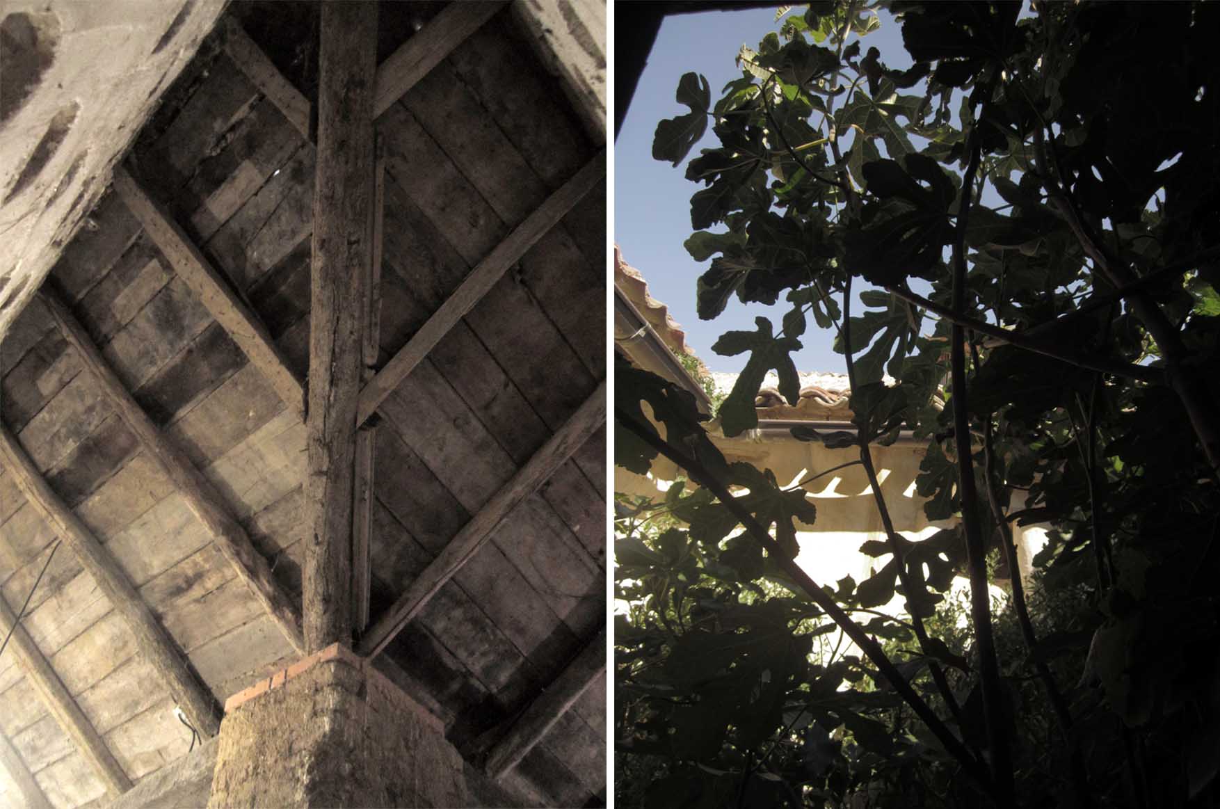 29 spanija amayuelos palomares