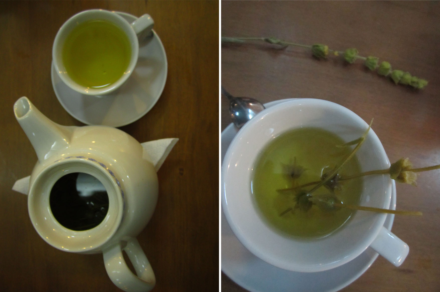 110 albanija gjirokastra planinski caj