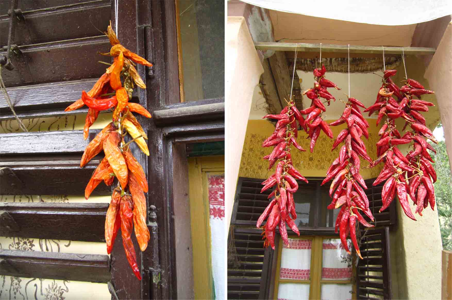 19 hrvatska batina vinkov raj detalji