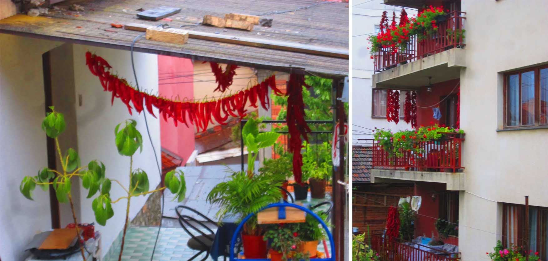 268 makedonija ohrid paprike