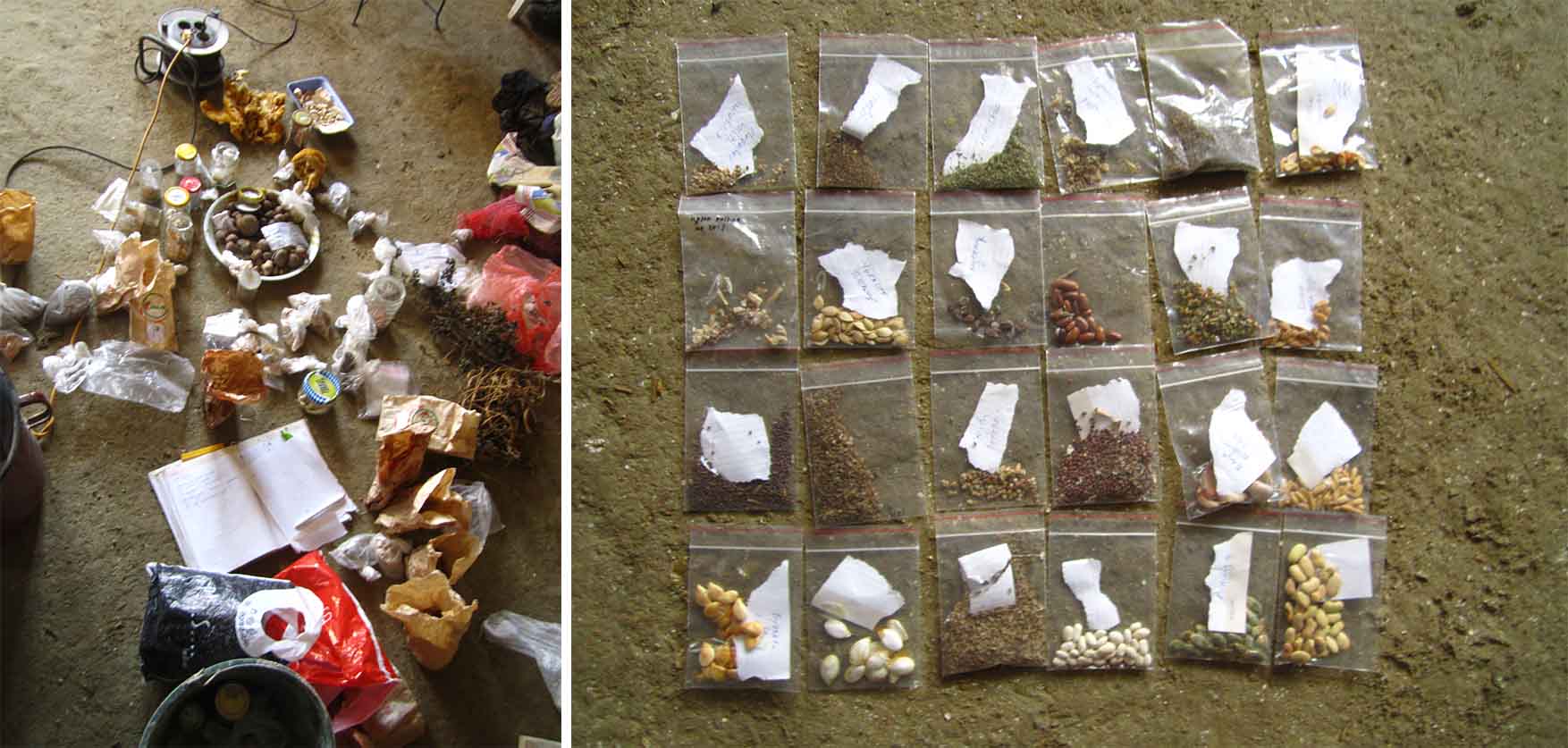 03 Mosorin prolecne radionice priprema semenki za razmenu