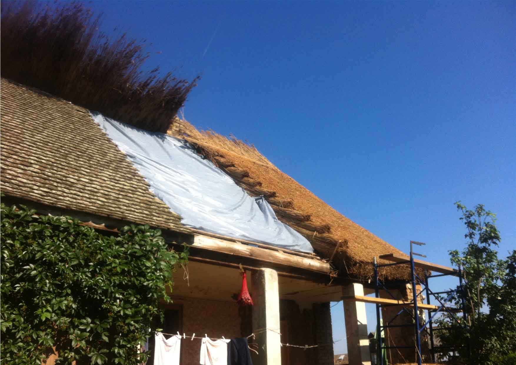 04 trska radionica nedelja