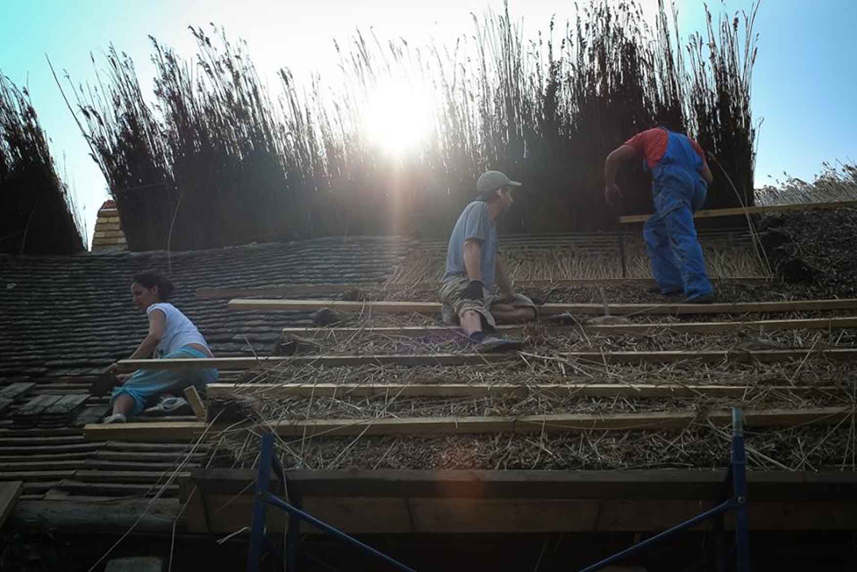 07 trska radionica nedelja 2 petak s Mishom