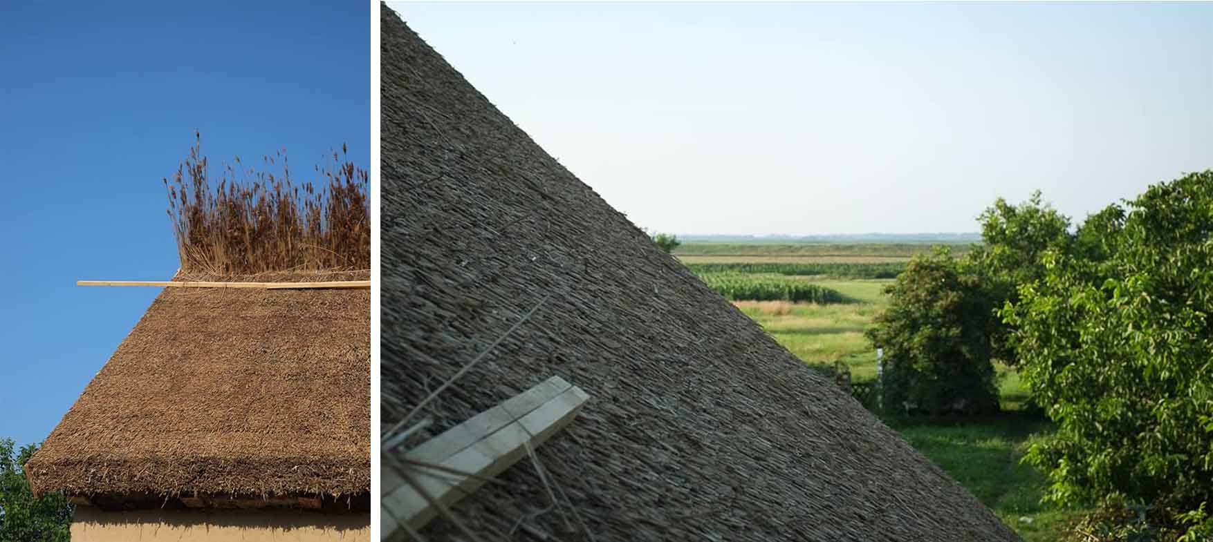 08 trska radionica nedelja 2 petak by Misha