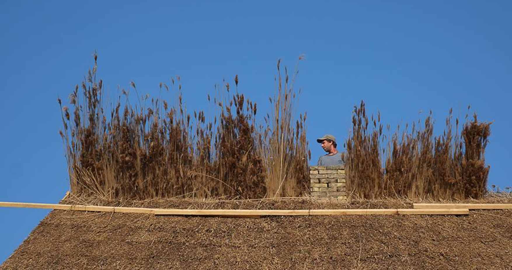 10 trska radionica nedelja Vinko by Misha