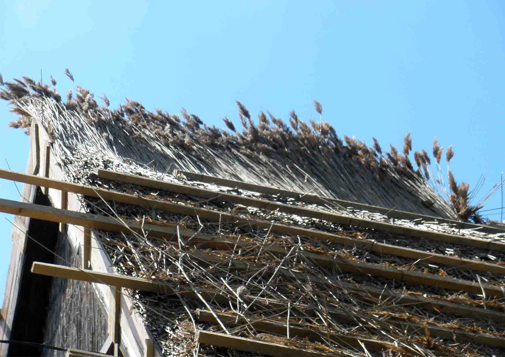 26 trska radionica nedelja 3 poslednji sloj trske