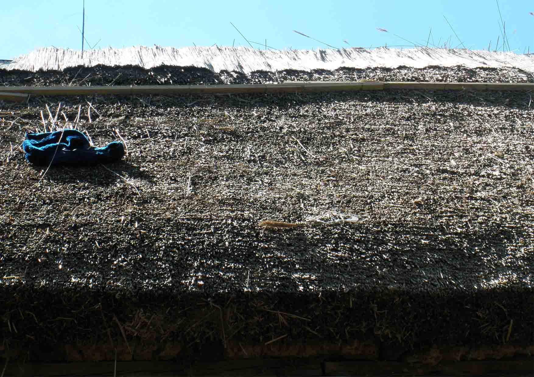 27 trska radionica nedelja 3 poslednji sloj trske