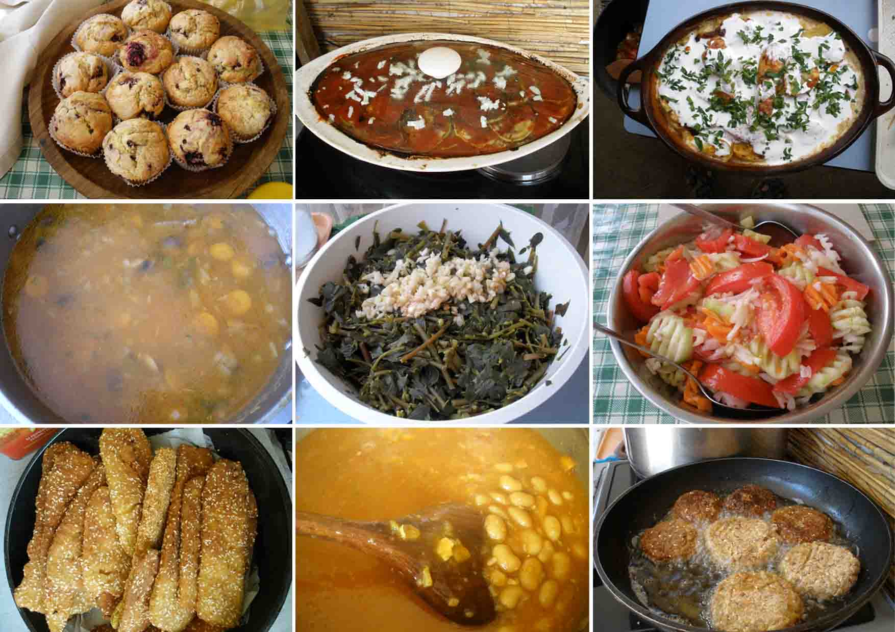 73 pećke Vass Zoltan pećka II radionica Snezine kuhinjske vegetarijanske carolije