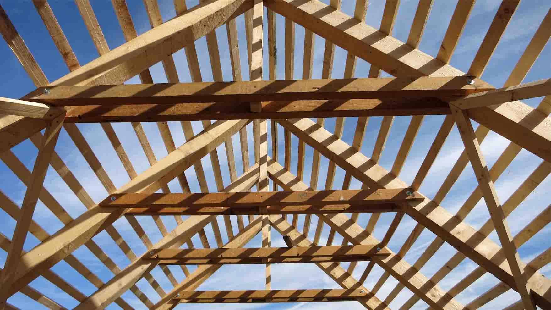 20-franc-i-vinko-krovna-konstrukcija